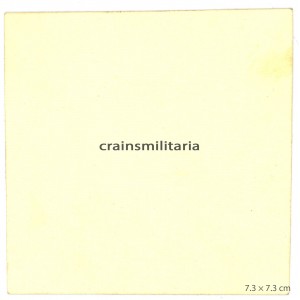 Hanged partisan in Russia