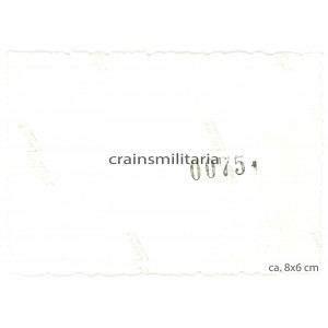 KIA Russians in snow