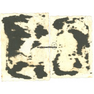 Execution of Polish partisan