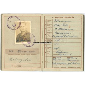 Luftwaffe penal unit Wehrpass, demoted