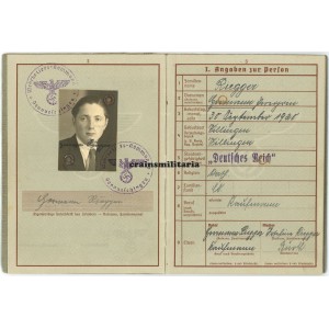 Slovakia 1944 KIA Skijäger Wehrpass, Kettenkrad driver